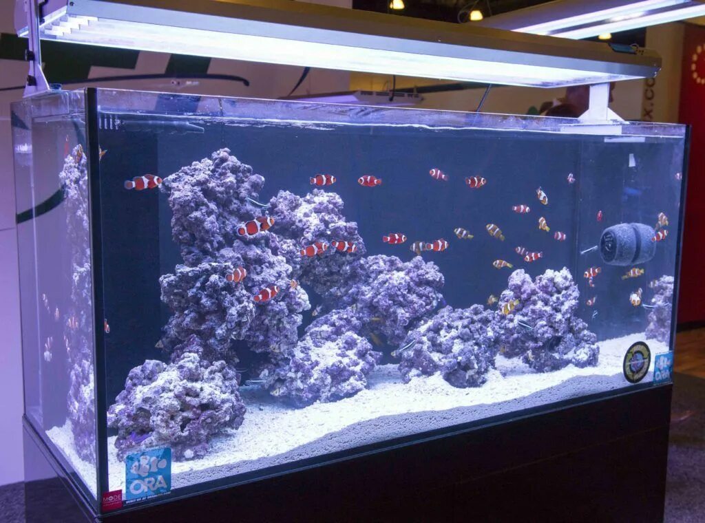 Marine aquarium. Морской аквариум Nano Marine 4 & 5. Мягкий риф морской аквариум. Морской аквариум для начинающих.