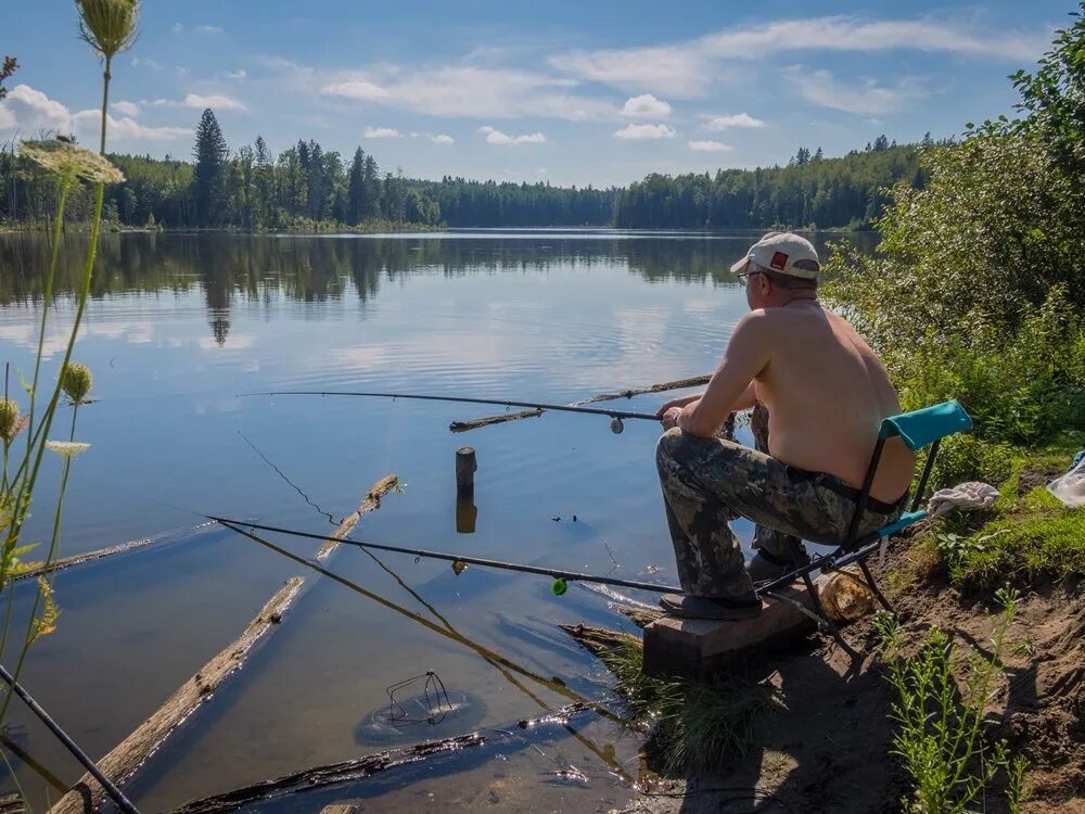 рыбалка лесной