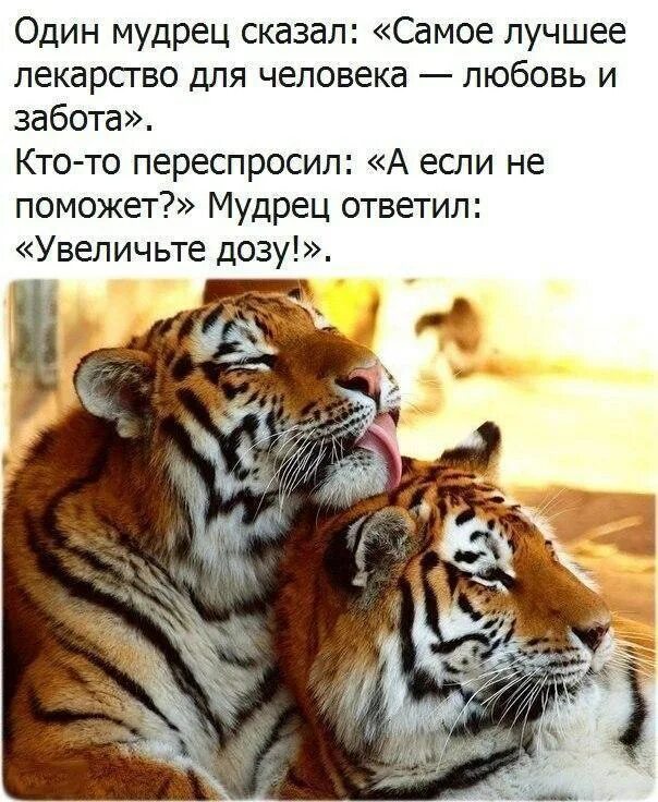 красивые мотиваторы со смыслом. самое лучшее лекарство цитаты. все говорят я самый лучший. все говорят я самый лучший. все говорят я самый лучший.