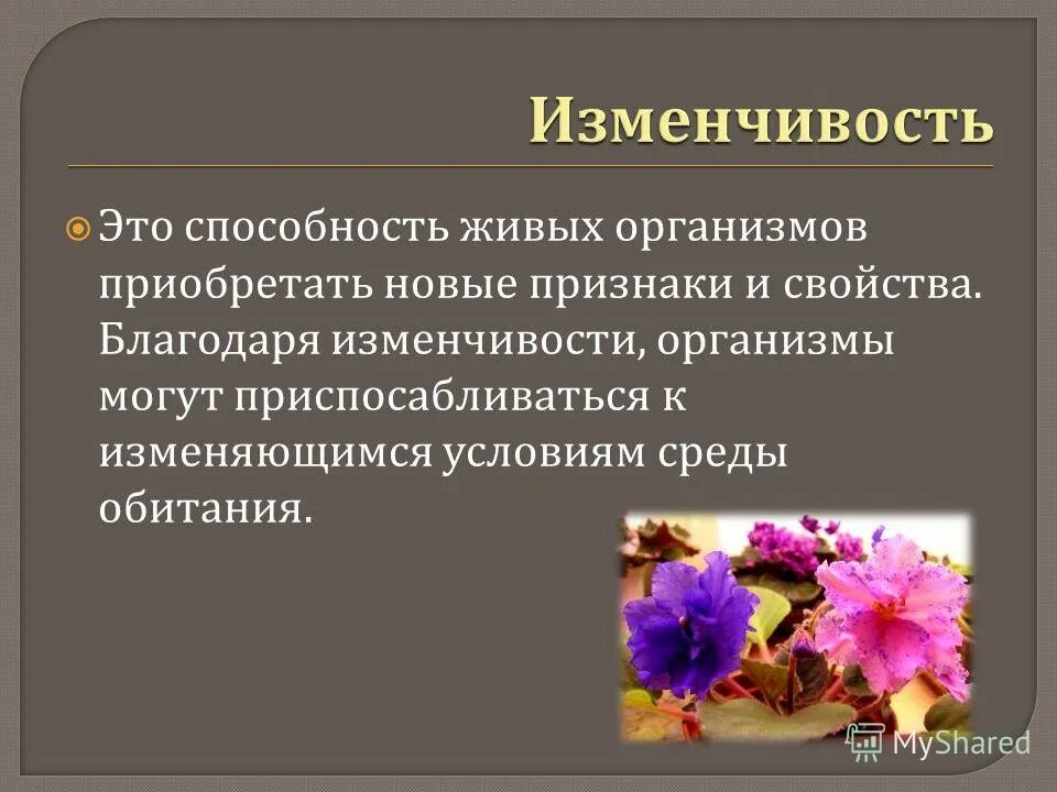Неопределенную изменчивость называют. Изменчивость живых организмов. изменчивость способность организмов приобретать новые признаки. изменчивость презентация. изменчивость живых организмов примеры.