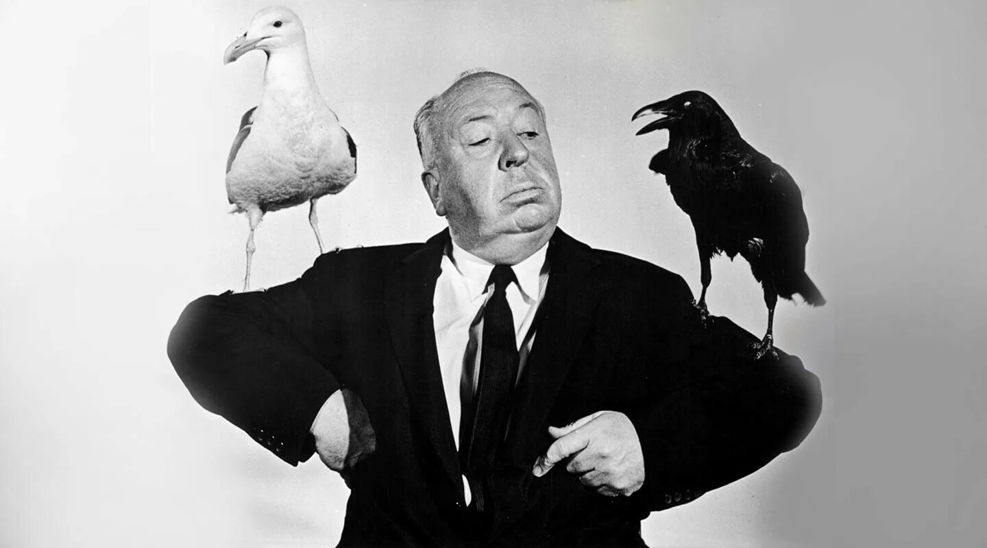 Режиссер психо и птицы. Саспенс хичкок. Ворон гамлет. Режиссер психо и птицы. Альфред хичкок птицы.