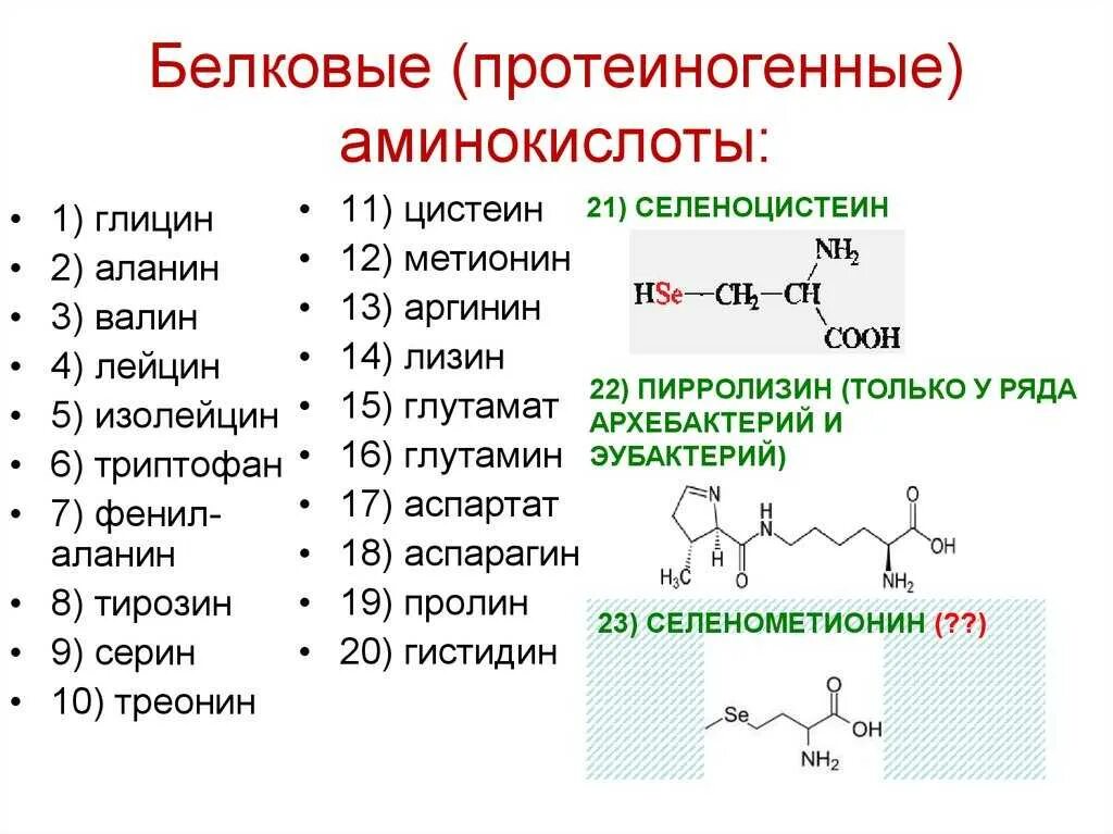 Органическое вещество состоящее из аминокислот. Белковые протеиногенные аминокислоты. общую формулу α-d-аминокислот. 22 аминокислоты формулы. фенилаланин 2) аланин 3) валин 4) глицин.