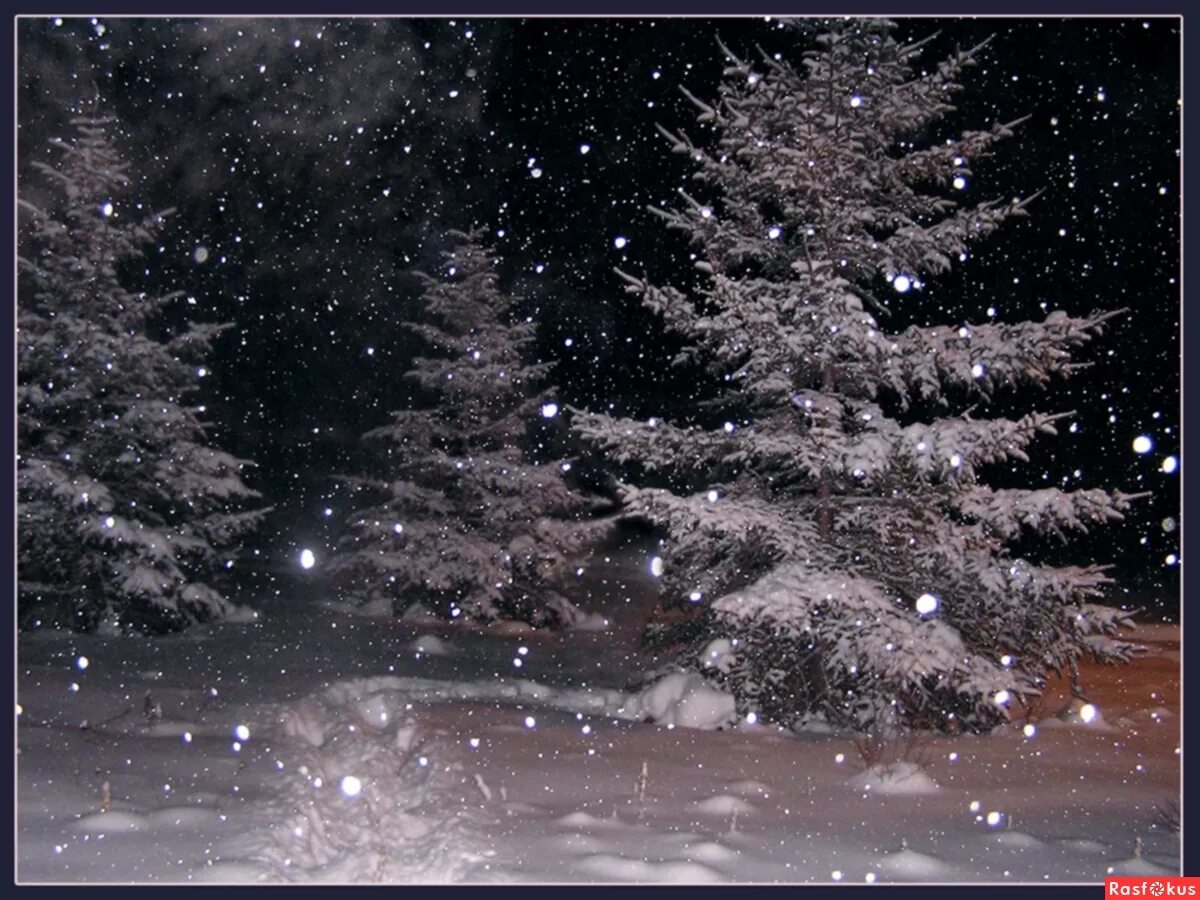 зимняя природа анимация. падающий снег. зима анимация. анимированный снегопад. добавить снег на фото анимация.