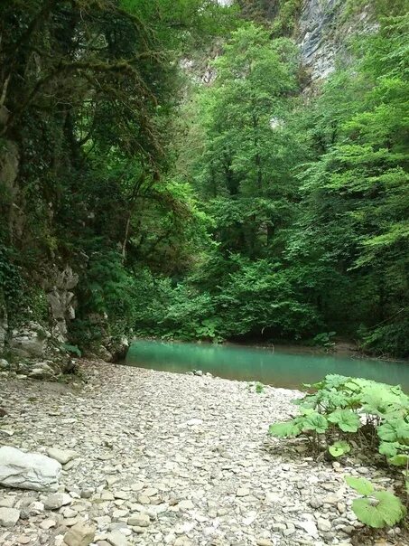 Лесная краснодарский край сочи фото Купить Земельный Участок у Реки на Центральной улице (село Лесное) предложения