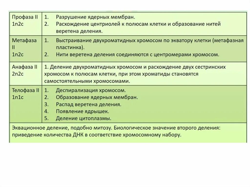 Подготовка к егэ 11 биология. Эпохи ЕГЭ биология. Биология 11 класс ЕГЭ. Эры ЕГЭ биология. Эры ЕГЭ биология таблица.