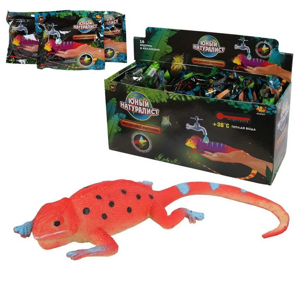 Волшебная рыбка. Фигурка abtoys юный натуралист акула pt-01162. Жук меняющий цвет. Юный натуралист волшебные рыбки. Юный натуралист волшебные жуки.