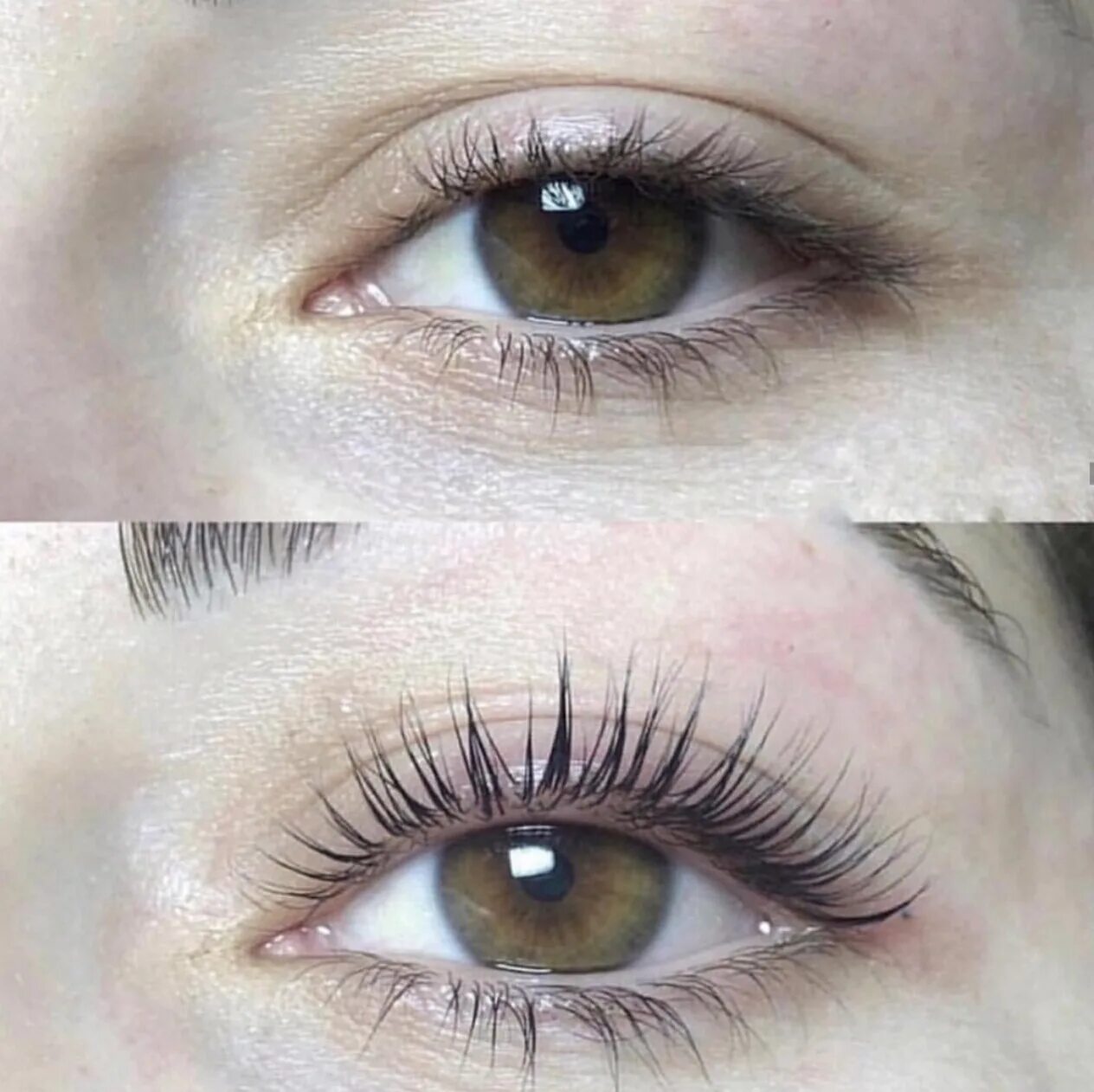 Ламинирование ресниц в салоне. Наращивание ресниц ботокс. Ламинирование ресниц процесс. Лами ботокс для ресниц. Ламинирование ресниц процесс процедуры.