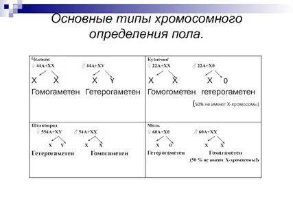 Представители 4 пола