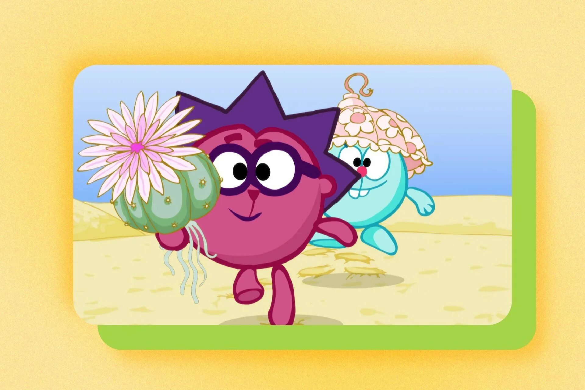 Смешарики биография зонтика. Смешарики 16 серия биография зонтика. Смешарики 016 биография зонтика. Смешарики 16 серия. Красивая альбом для рисования для детей.