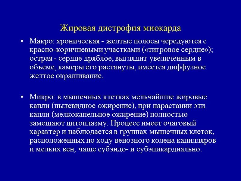 Механизм жировой дистрофии миокарда. Паренхиматозная жировая дистрофия миокарда. Механизм развития жировой дистрофии миокарда. Паренхиматозная дистрофия миокарда.