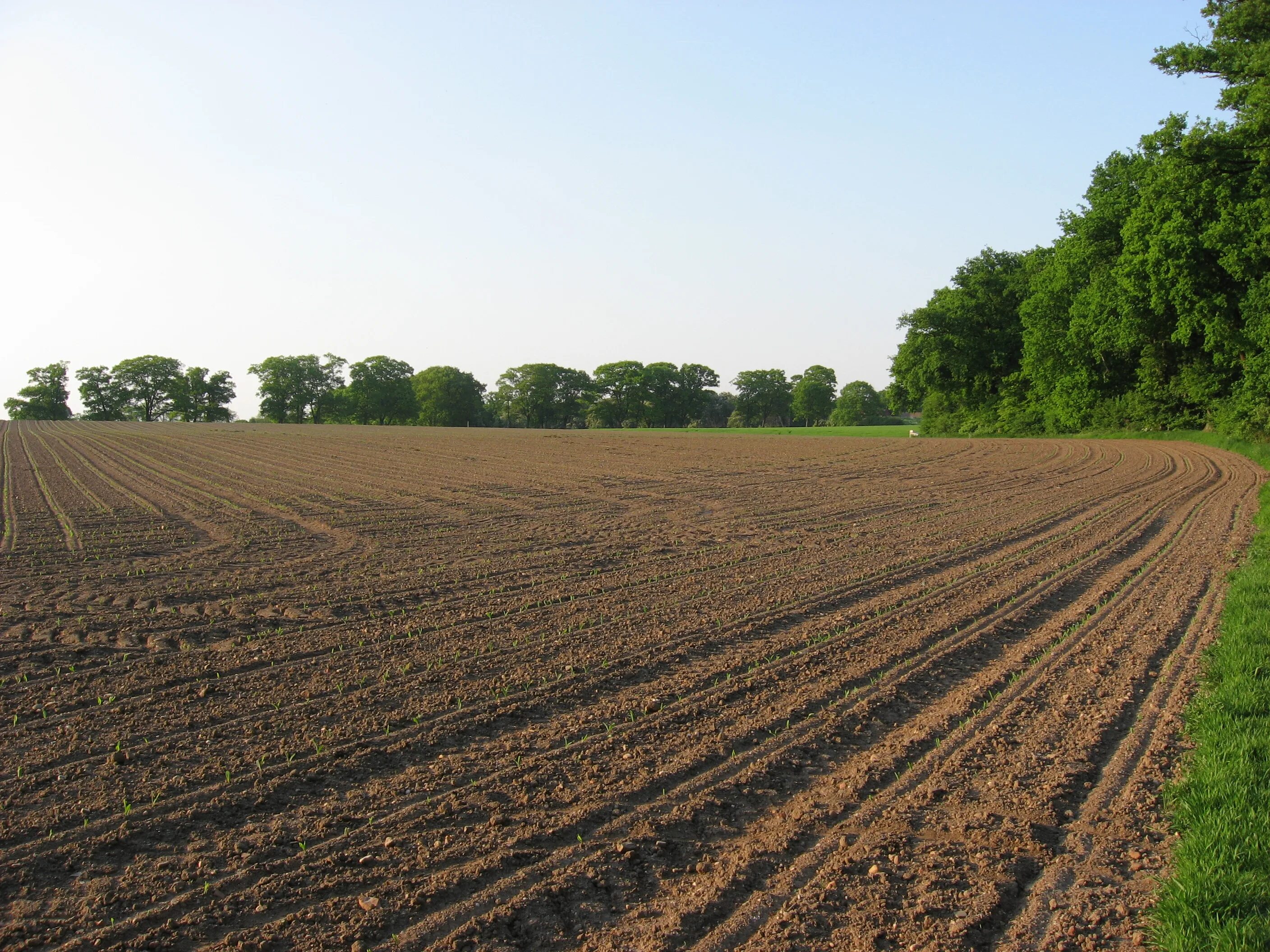 4 сферы земли. бос жер. аренда земли. жер пин. бос жер.