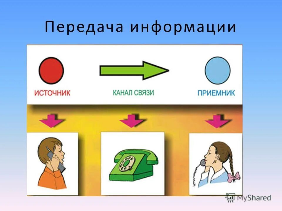 Из полученной информации следует