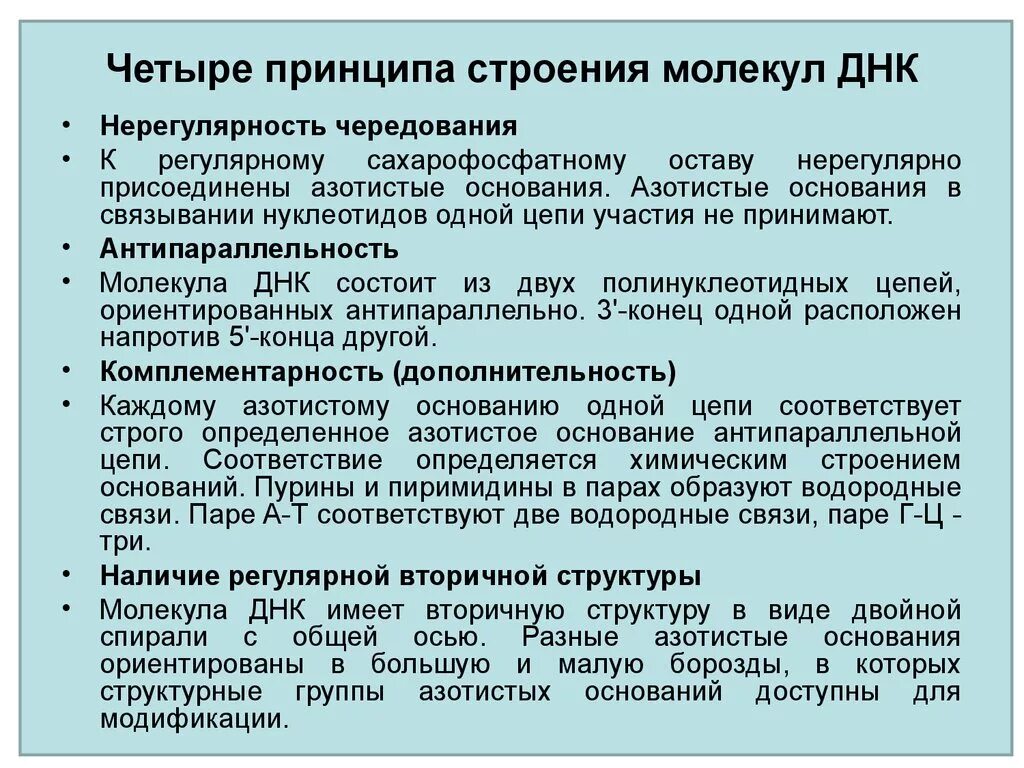 Выберите признаки молекулы днк. Основные принципы строения ДНК. Принципы построения молекулы ДНК. Принципы строения ДНК нерегулярность. Принципы строения молекулы ДНК.