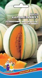 Дыня карамелька