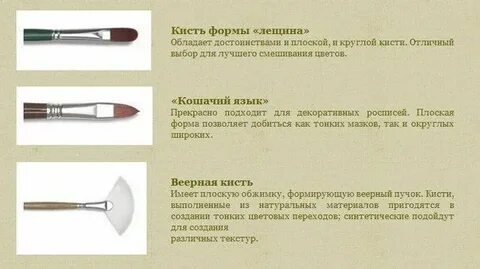 Твердая основа кисти