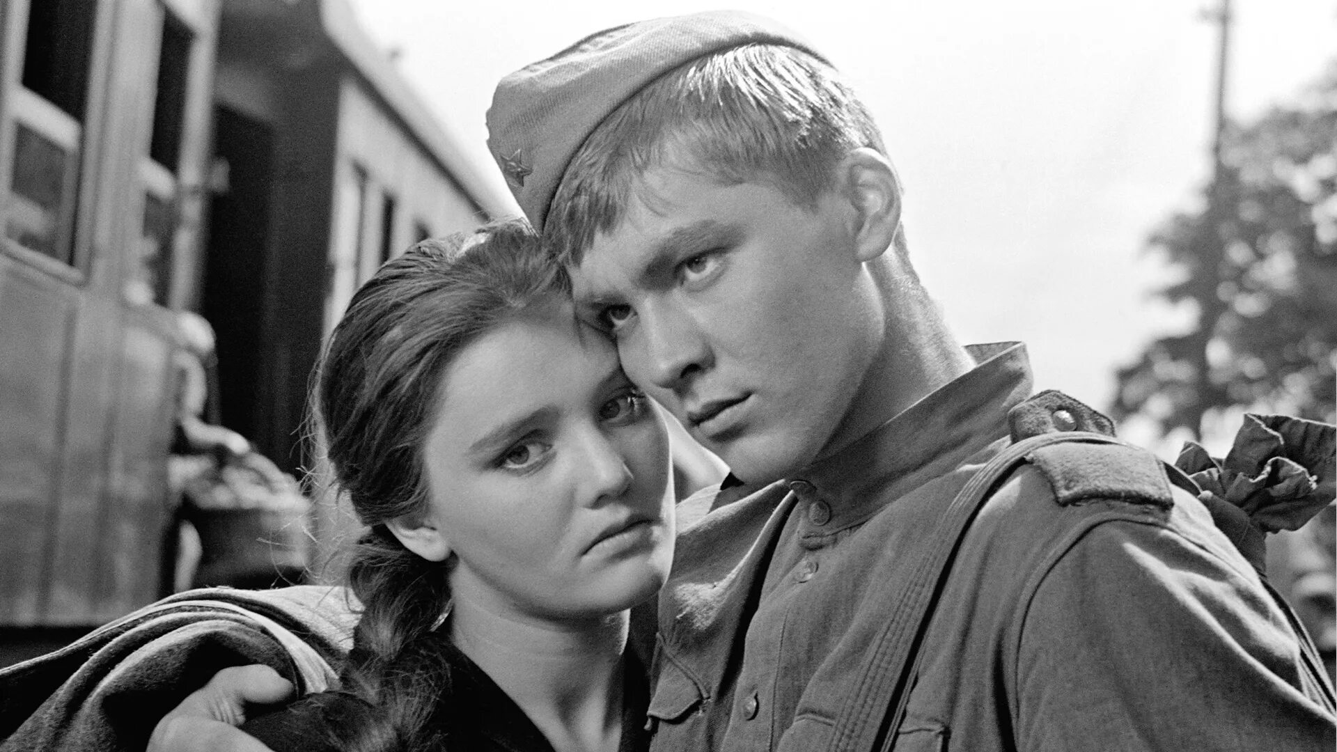 Праздник любви и верности петра и февронии. За память и верность. Книги о преданности. Верность памяти. Верность памяти.