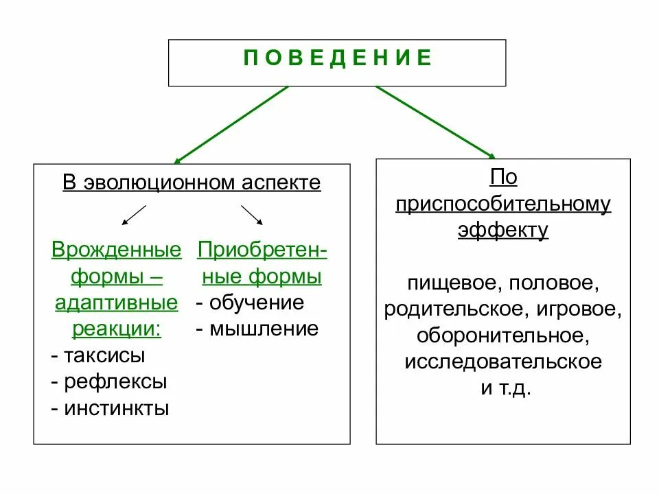 Врожденные формы поведения. Формы поведения животных. Приобретенные формы поведения. Врожденные и приобретенные формы поведения.