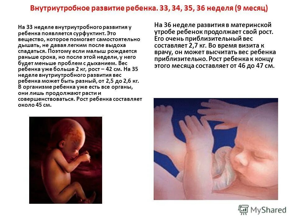 34 беременности что происходит с малышом. Внутриутробное развитие ребенка. Развитие ребёнка в утробе матери. Формирование плода 34 неделя. Ребенок на 33 неделе беременности.