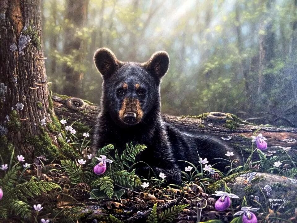 Хантер животные. Abraham Hunter художник. Абрахам Хантер медведи. Живопись Абрахам Хантер медведи. Картина медведь.