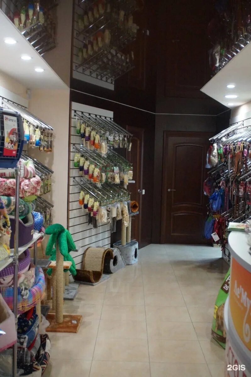 лемуррр магазин зоотоваров липецк. лемуррр магазин зоотоваров липецк. ле'муррр каменка улица центральная. лемуррр магазин зоотоваров спб. лемуррр магазин зоотоваров липецк.