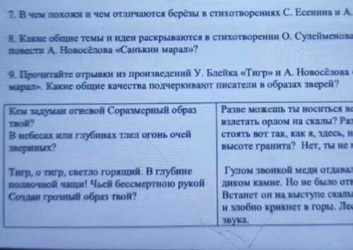 Что хочет подчеркнуть автор словами стоит мальчишка. Санькин Марал анализ произведения. Отрывок произведения у Блейка тигр. Рассказ Новоселова Санькин Марал. Санькин Марал основная мысль.