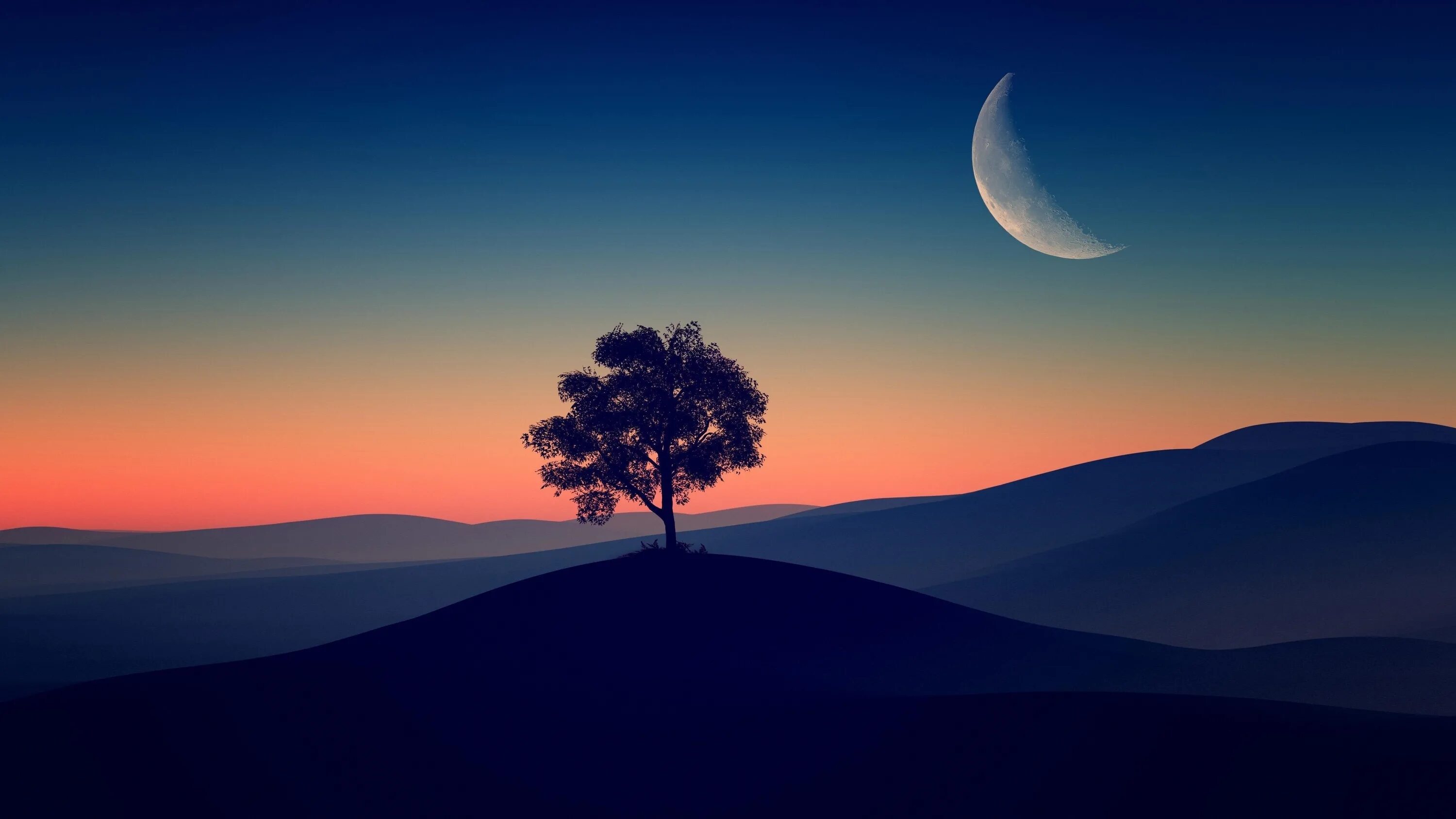 4 вечера темно. Минимализм природа. Обои на рабочий стол одинокое дерево. Пейзаж градиент. Природа Минимализм Луна.
