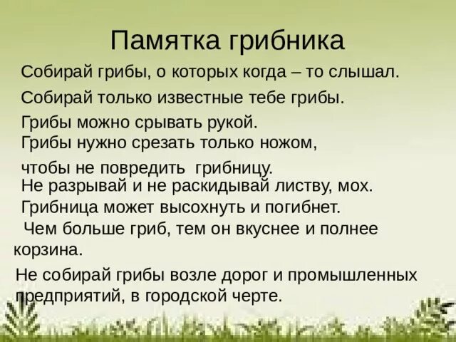 Памятка как собирать грибы. Памятка как собирать грибы