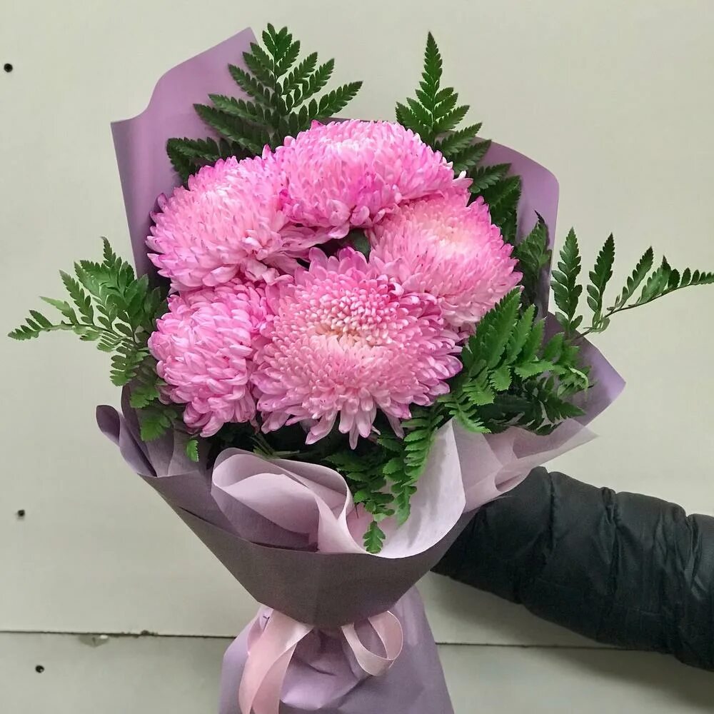 хризантема шаровидная одноголовая. хризантема шаровидная букет фото. аполло хризантема. хризантема шаровидная белая. хризантема одноголовая белая.