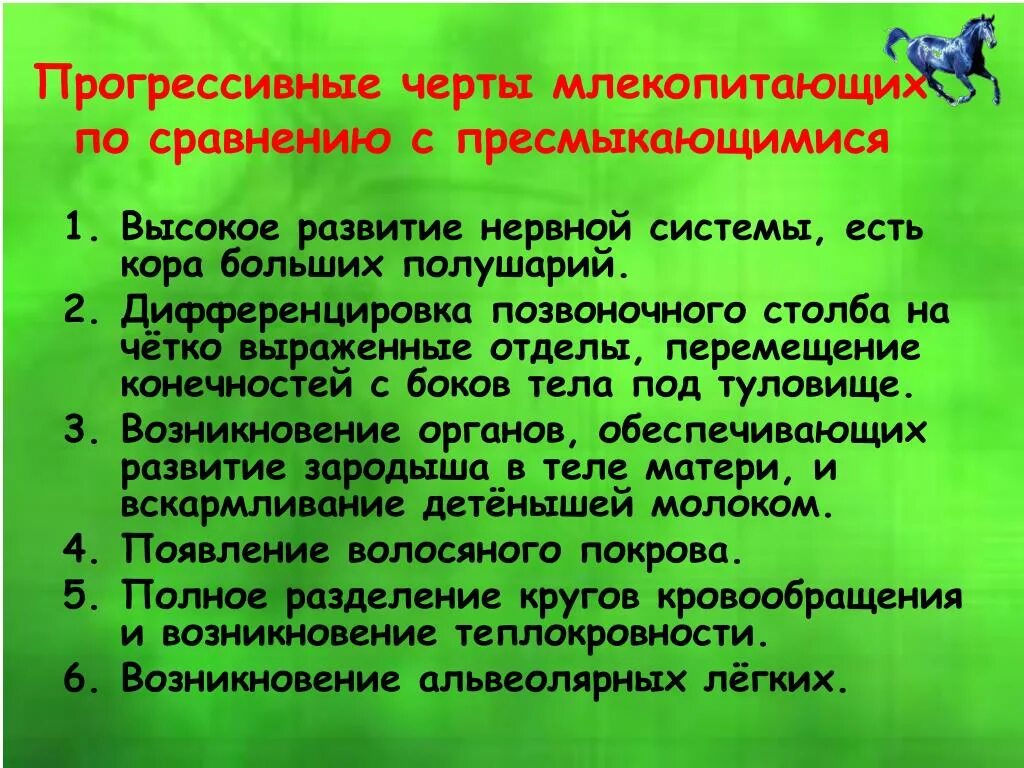 Укажите главные черты отличия птиц от пресмыкающихся. Прогрессивные черты строения млекопитающих. Прогрессивные черты млекопитающих по сравнению с пресмыкающимися. Прогрессивные черты млекопитающих по сравнению с рептилиями. Черты организации млекопитающих.