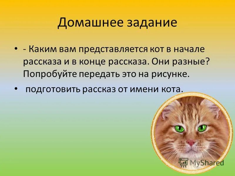 Кот ворюга план рассказа 3 класс паустовский. Кот ворюга. Рассказ про кота. Рассказ о коте ворюге. Паустовский к. "кот-ворюга".