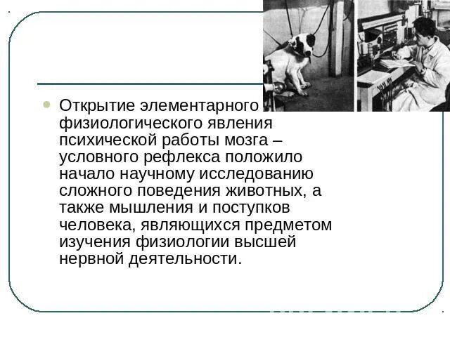 Термин высшая нервная деятельность предложил. Вклад ученых в разработку учения ВНД. Учение Сеченова о высшей нервной деятельности. Учение о высшей нервной деятельности и условных рефлексах. Учение Павлова о ВНД.