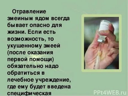 Как приготовить отраву