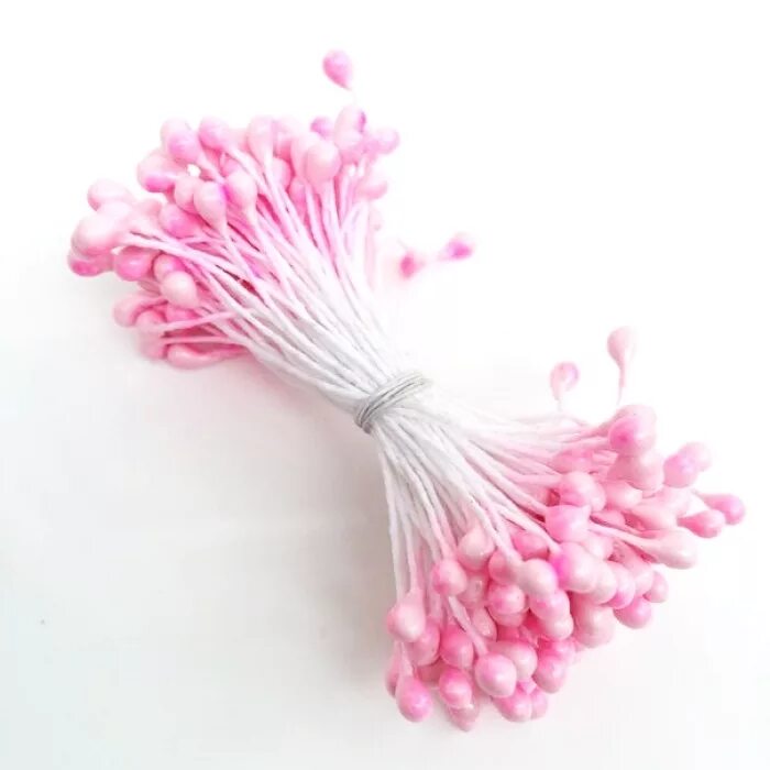 Тычинки в цветах. Домашние цветы с тычинками фото. Тычинки гибискуса. Д тычинки. Тычинки для цветов.