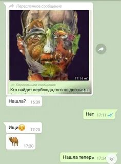 Лицо из животных найти верблюда ответ