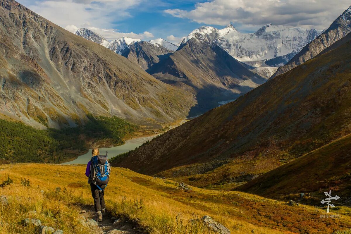 Белуха горный Алтай. Долина Ярлу горный Алтай. Республика Алтай гора Белуха. Золотые горы Алтая гора Белуха.