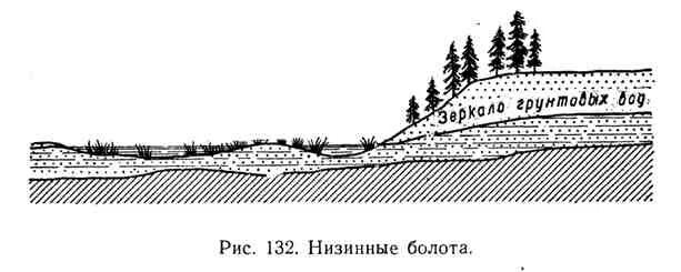 Строение болота. Низинные болота схема. Болота верховые и низинные схема. Болота рисунок низинные и верховые. Строение верховых и низинных болот.