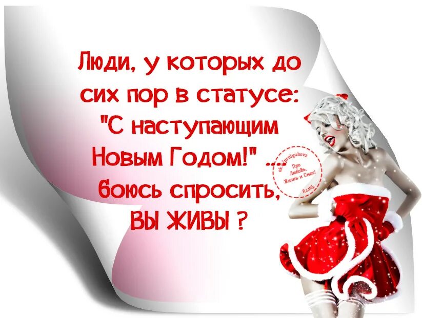 Статусы про новый год красивые. С наступающим статус со смыслом. Высказывания о зиме. С наступающим статус со смыслом. Цитаты про новый год.