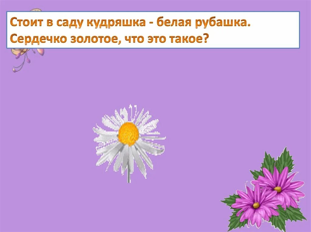 Сердечко золотое что это такое загадка. Загадки о цветах. Загадки про цветы. Загадка про цветочек для детей. Много загадок про цветы.