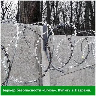 Егоза значение