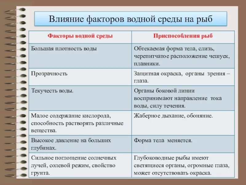 Признаки приспособленности рыбы. Факторы водной среды рыб. приспособление рыб к среде обитания. рыбы форма тела факторы водной среды. черты приспособления рыб.