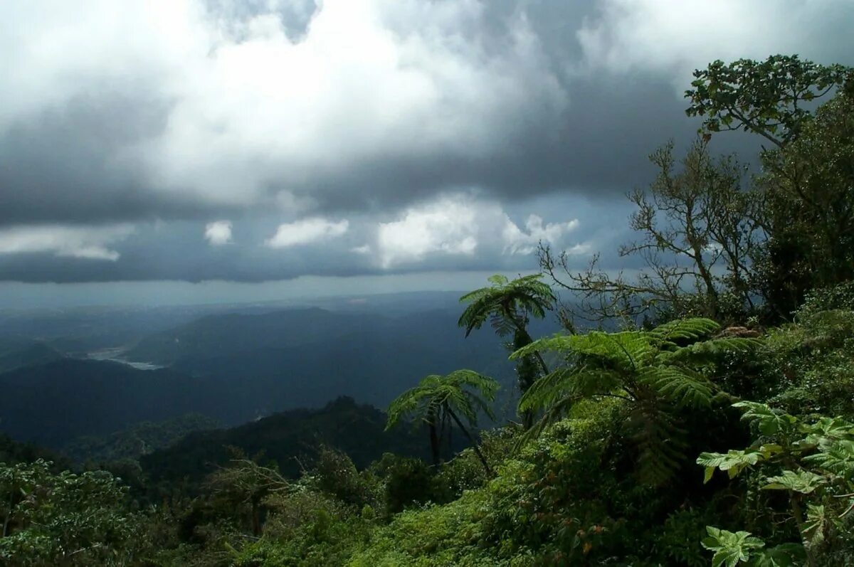 Дожди на дальнем востоке