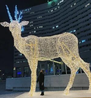 Световые животные