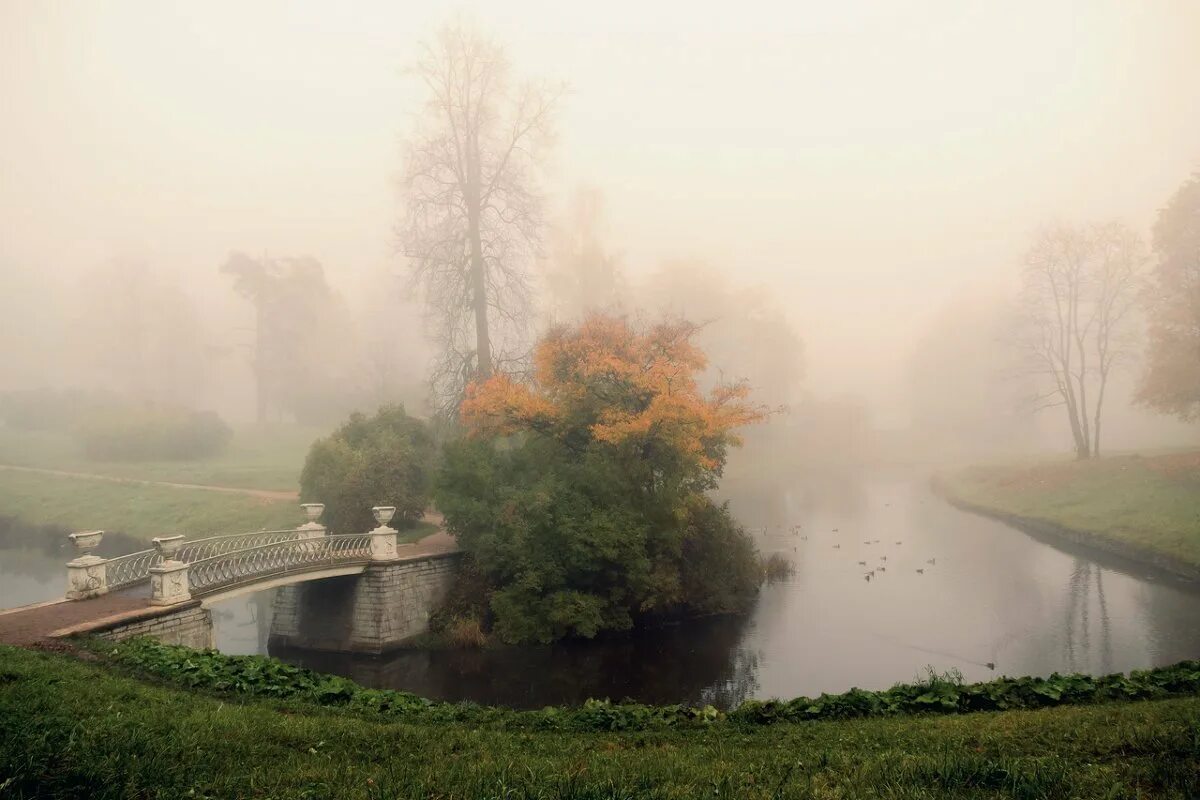 Над рекой над городом словами. Парк в тумане в Павловске. Туманное утро в Италии Айвазовский. Туманное Царское село. Смоленск туман.