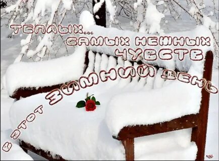 Субботнее снежное утро