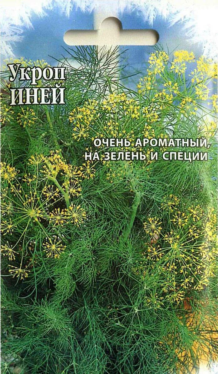 Укроп под зиму сорта. Укроп семена сорт гавриш. укроп иней. гавриш укроп иней. семена укроп «иней».