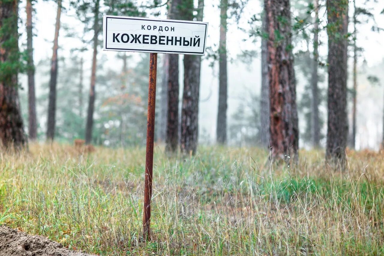 Пляж пески воронеж кожевенный кордон. Кожевенный кардон воронеж. Кордон кожевенный воронежская область. Кожевенный кордон. Кожевенный кордон.