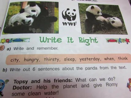 6 sentences
