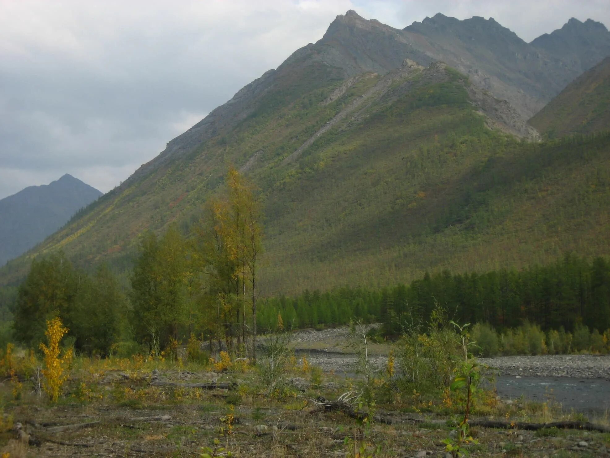 Верхоянские горы якутии. Площадь верхоянского хребта. Верхоянский хребет якутия. Соболох маян. Площадь верхоянского хребта.