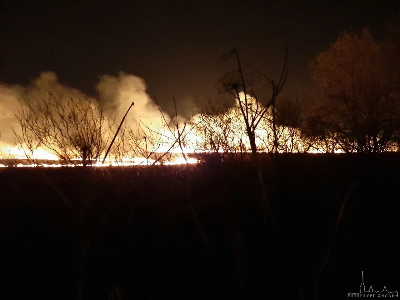Горит поле ночью. Пожар в поле. сгоревшее поле. горящее поле ночью. пожар в поле ночью.