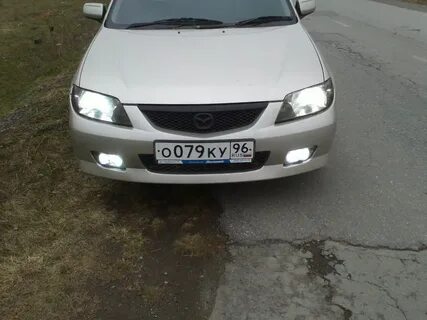 Фамилия туманок